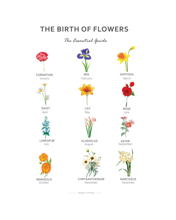 THE BIRTH OF FLOWERS